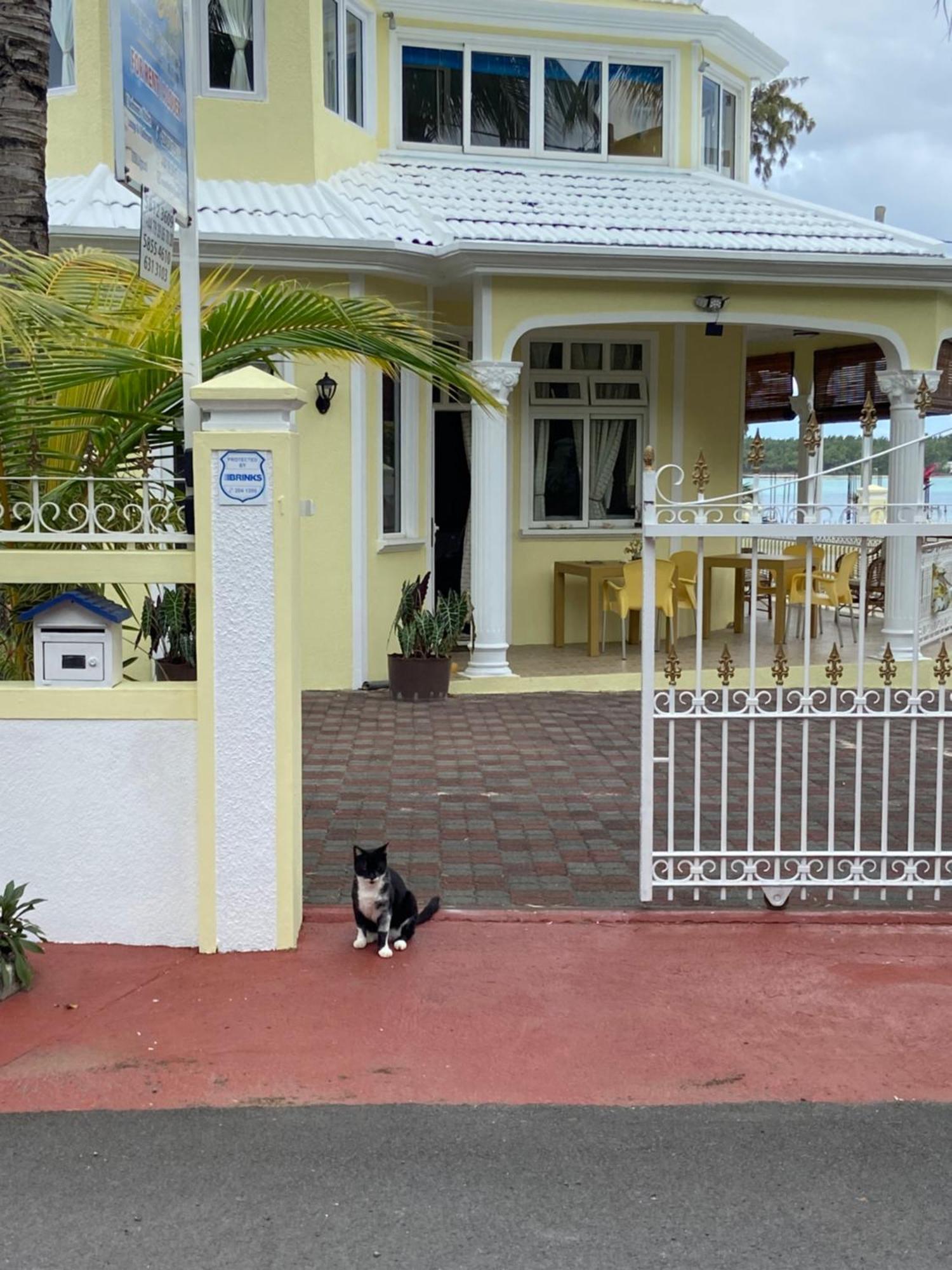 Villa Bella Charming Beachfront Guesthouse Blue Bay Eksteriør billede